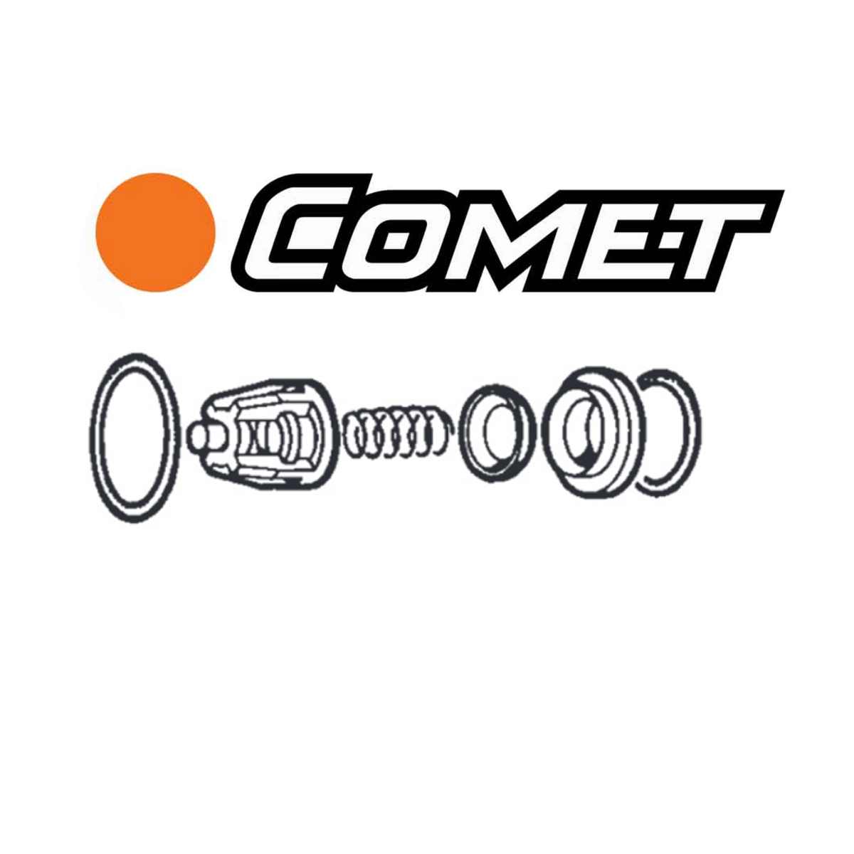 Comet Pump Check Valve Repair Kits