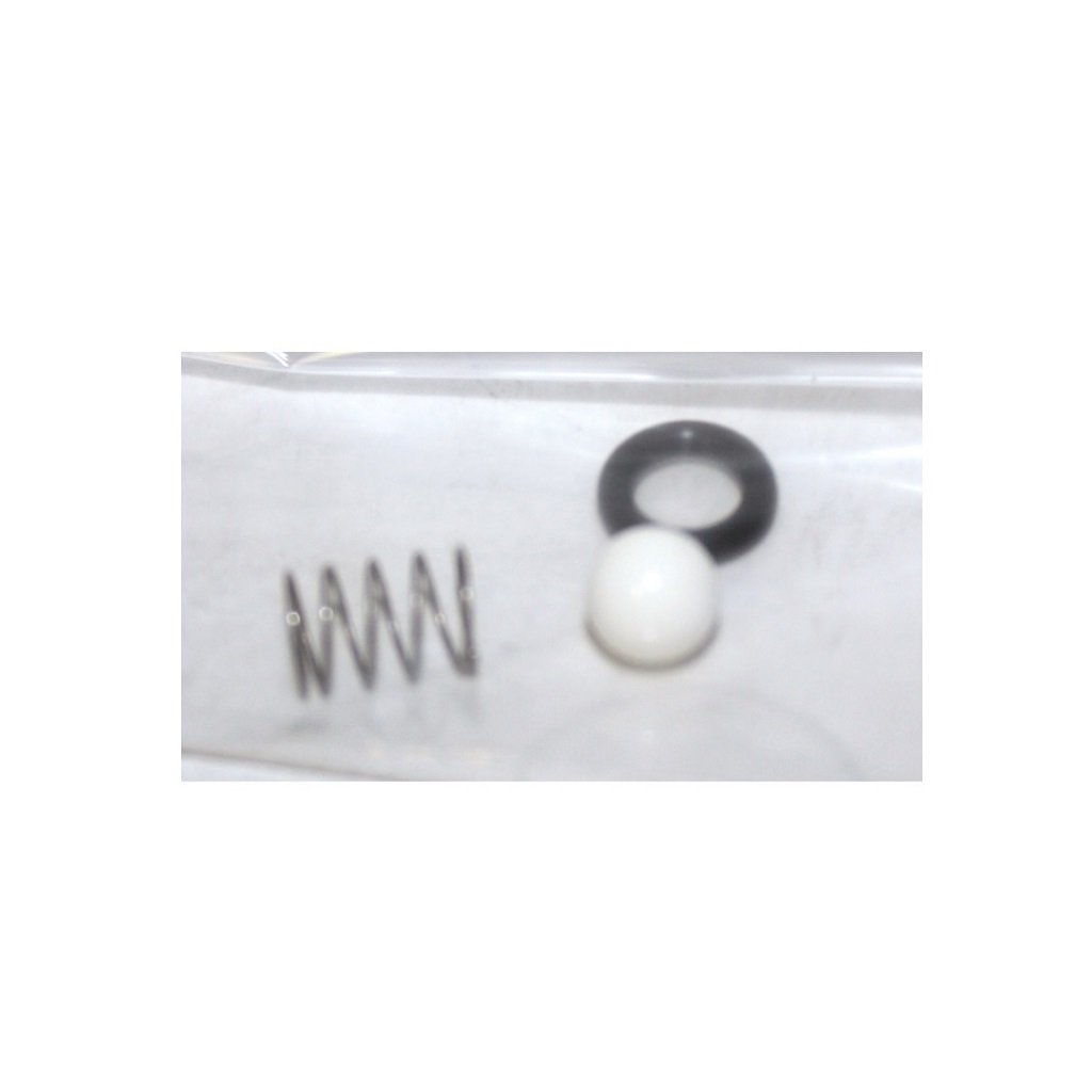 Injector Repair Kit AMERIMAX Ceramic Ball and Spring - Acid Rated 8.900-041.0