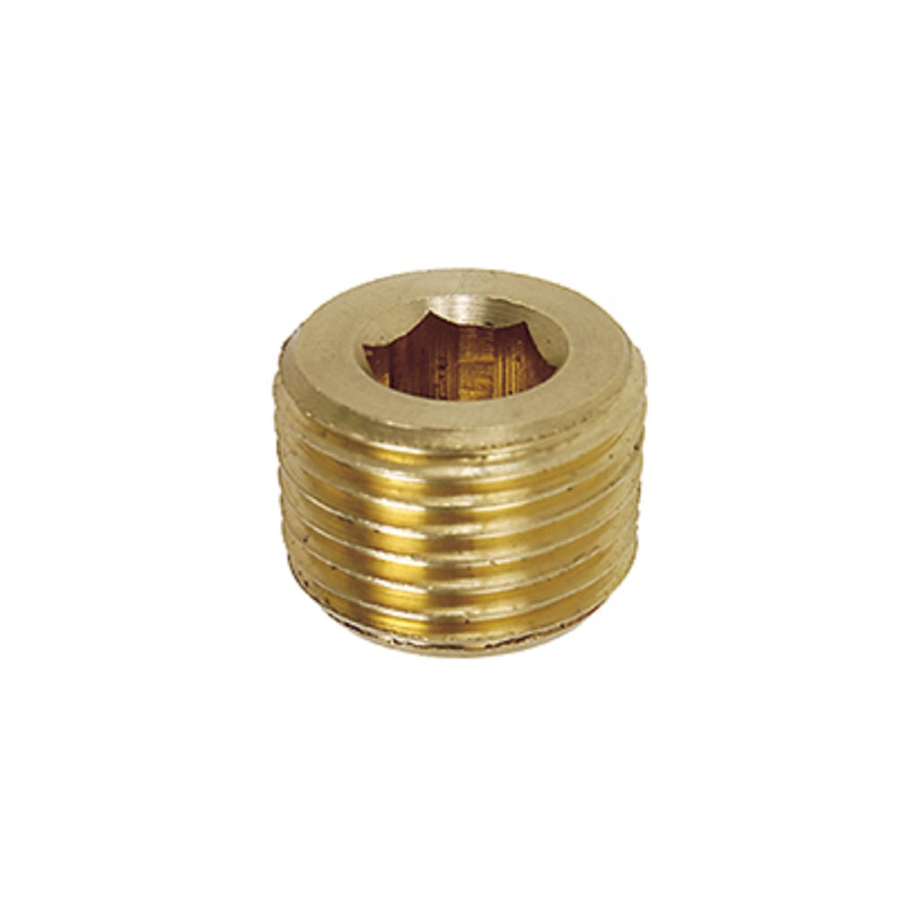 Brass Allen Head Plug NPT