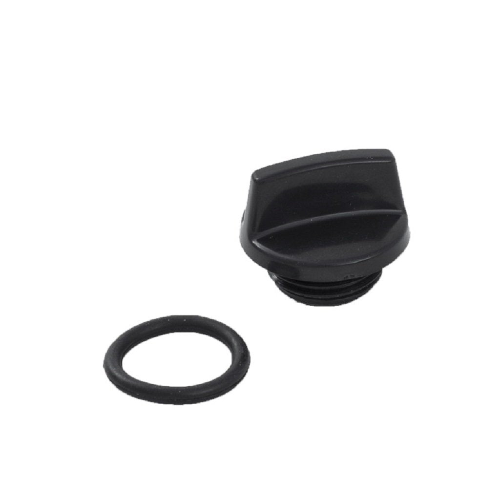 Drain Plug with Gasket for BE Water Pump