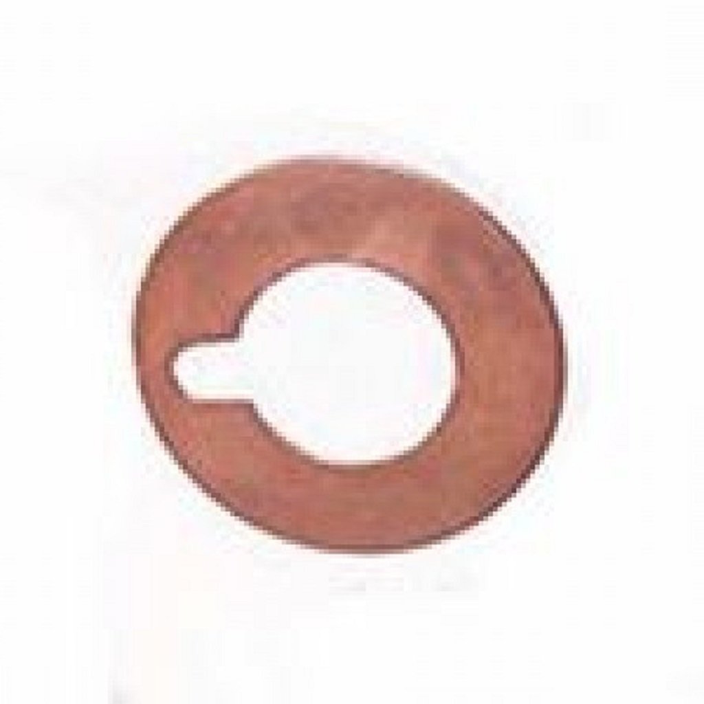 General / Interpump 96700800 Washer