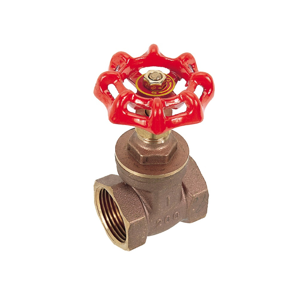 V205 Brass Gate Valve 200psi Water 125psi Steam