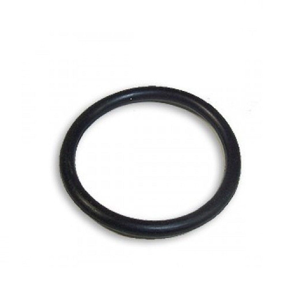 Cat 17616 Pump O-Ring